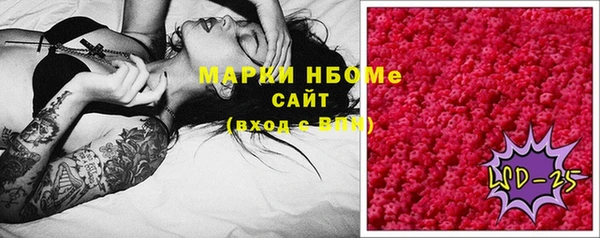 индика Лихославль