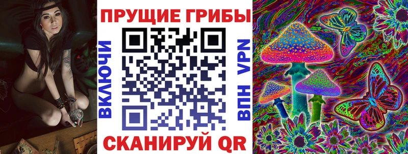 hydra ссылка  Александровское  Галлюциногенные грибы Cubensis 